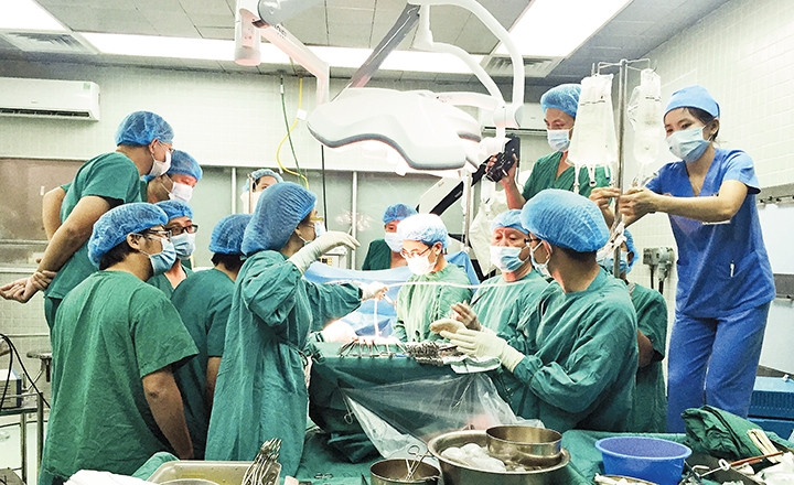 Ca mổ ghép tạng tại Bệnh viện Việt Đức (Hà Nội). Ảnh | Trịnh Hồng Sơn