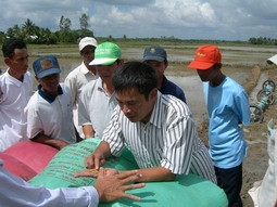 Hướng dẫn nông dân ấp Cầu Tre <br>theo dõi sự sinh trưởng của cây lúa.