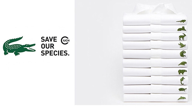 Bộ sưu tập đặc biệt của Lacoste