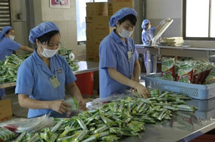 Công nhân công ty CP thực phẩm hữu nghị đóng gói sản phẩm bánh kem xốp
