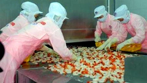 VASEP khẳng định Việt Nam không trợ cấp tôm xuất khẩu.