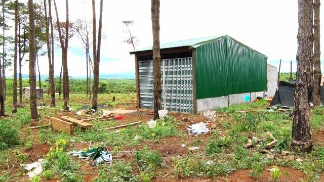 Nhà trái phép xây dựng tràn lan trên đất rừng của Công ty Nguyên Vũ.