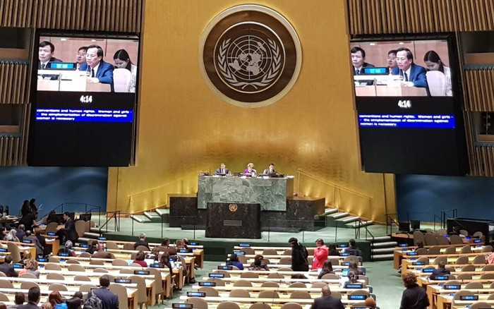 Bộ trưởng Lao động, Thương binh và Xã hội Việt Nam Đào Ngọc Dung phát biểu tại CSW 63 (Ảnh: Molisa). 