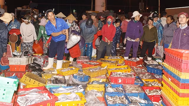 Tiểu thương lựa chọn hải sản thu mua.