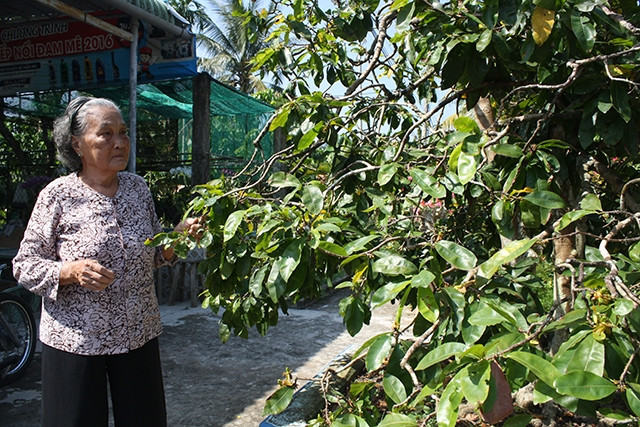 Mẹ Việt Nam Anh hùng Nguyễn Thị Hậu ở ấp Long Thạnh A, xã Long Hưng.