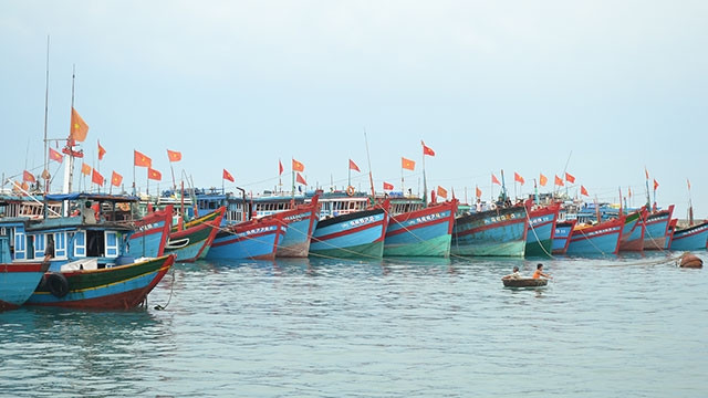 Đội tàu cá hùng hậu của ngư dân Lý Sơn (Quảng Ngãi).