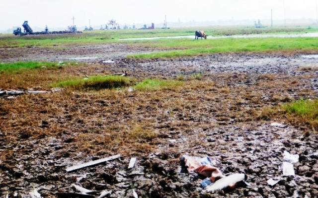 Do bị ô nhiễm từ làng nghề tái chế nhôm Bình Yên, gần 10 ha ruộng hai vụ lúa của xã Nam Thanh, huyện Nam Trực không canh tác được phải bỏ hoang từ nhiều năm nay.