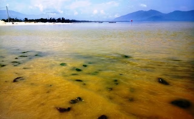 Dải nước màu vàng xuất hiện vào lúc sáng sớm khiến người dân xã Lộc Vĩnh lo lắng.