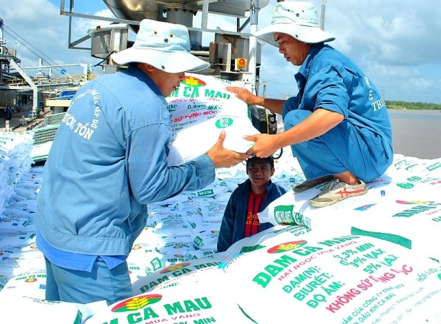 Phân bón của Đạm Cà Mau chiếm lĩnh phần lớn sản lượng tiêu thụ tại ĐBSCL và cả nước.