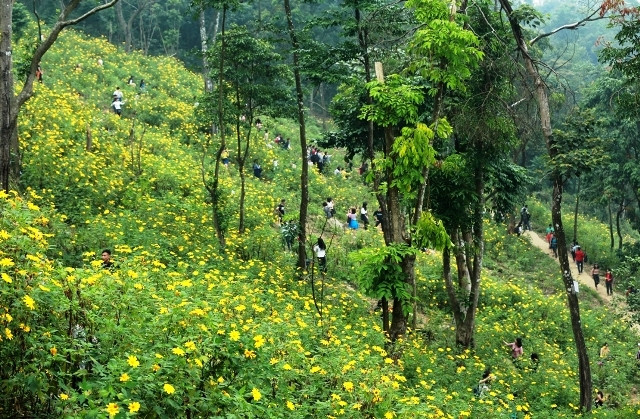 Các hoạt động du lịch ở khu vực núi Ba Vì phải không được gây ảnh hưởng đến thiên nhiên - môi trường.