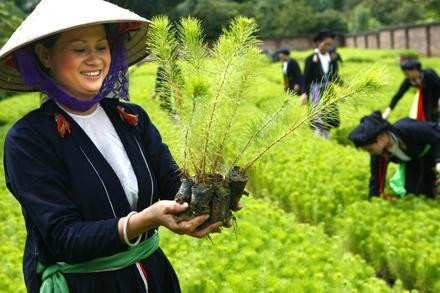 Ngoài việc cấp vốn, Quỹ Tình thương giúp phụ nữ nghèo dân tộc Sán Dìu (xã Ngọc Thạch, Phúc Yên, Vĩnh Phúc) lập kế hoạch 