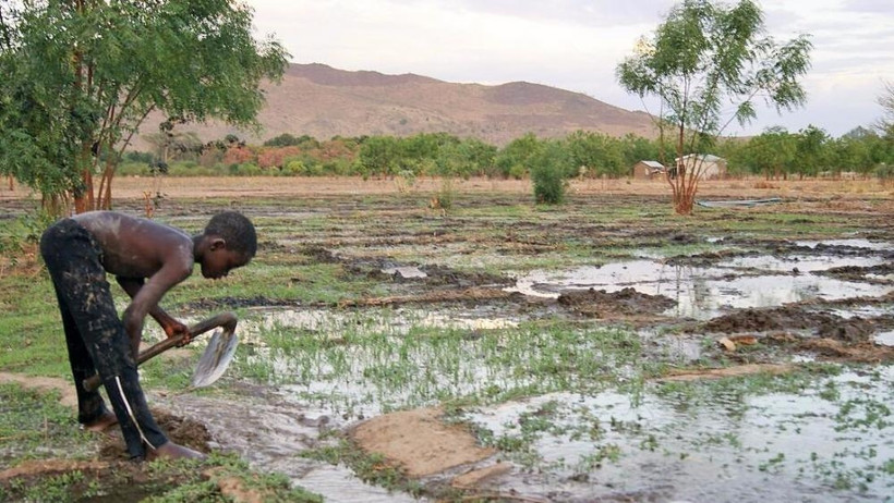 Lương thực tại Cameroon ngày càng khan hiếm. (Ảnh: IRIN)
