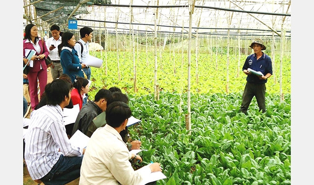 Giới thiệu mô hình canh tác rau tiêu chuẩn VietGAP tại HTX Anh Đào (TP Đà Lạt) với đại diện một số HTX tại Lâm Đồng.