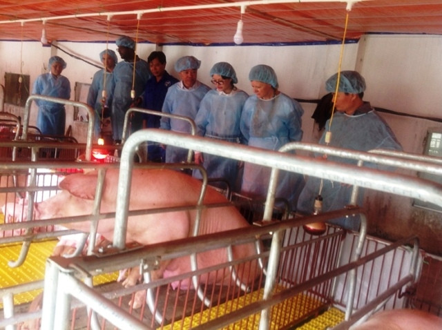 Lãnh đạo Sở NN&PTNT Hà Nội thăm trại chăn nuôi lợn của anh Nguyễn Văn Lâm ở xã Cấn Hữu, huyện Quốc Oai.