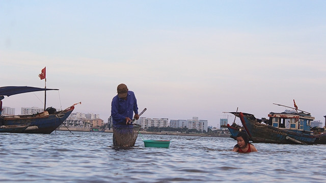 Mỗi ngày, người làm nghề mò, lặn chíp chíp miệt mài trong nắng gió. 
