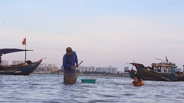 Mỗi ngày, người làm nghề mò, lặn chíp chíp miệt mài trong nắng gió. 