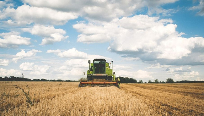 Ảnh: polandinenglish.info