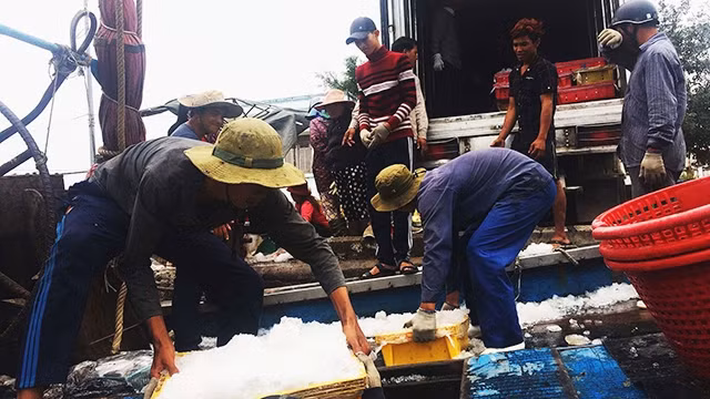 Tàu QNg 90677-TS cập cảng Sa Kỳ, giao sản phẩm cho bạn hàng.