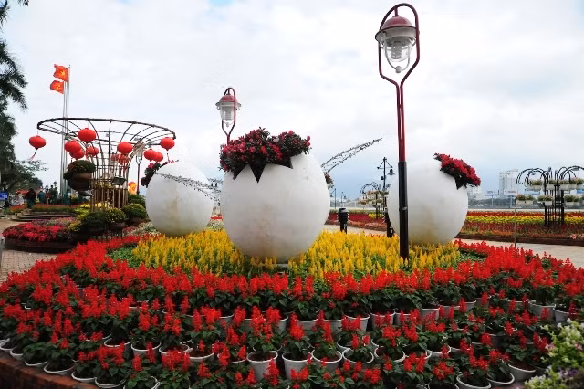 Bình yên mùa xuân Đà Nẵng.