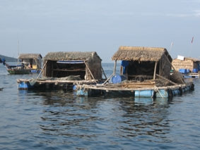 Nhà bè nuôi cá ở xã Nam Du, huyện đảo
Kiên Hải (Kiên Giang).