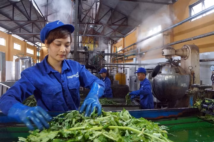 Tháo gỡ rào cản