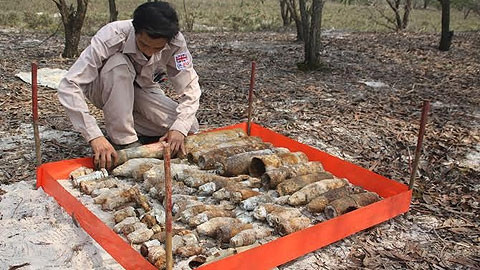 Thời gian qua, MAG và các tổ chức phi chính phủ đã tích cực hỗ trợ tỉnh Quảng Trị rà phá bom mìn và vật liệu nổ.