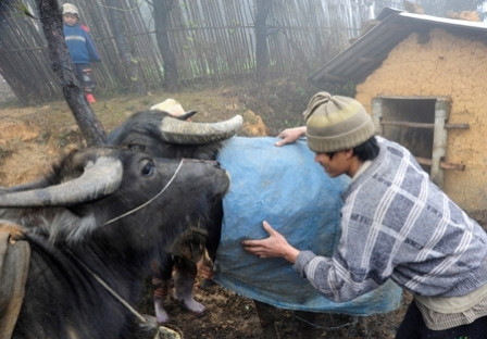 Nhiệt độ ở Cao Bằng xuống 0 độ C