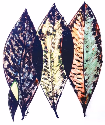 Minh họa: trương tiến trà