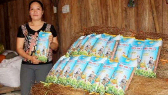 Chị Triệu Thị Tá với sản phẩm miến dong của mình.