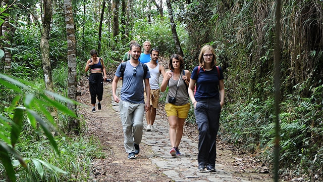 Đường trong rừng