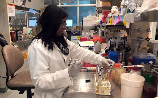 Phòng thí nghiệm sinh học tổng hợp của LanzaTech. Ảnh: CNN