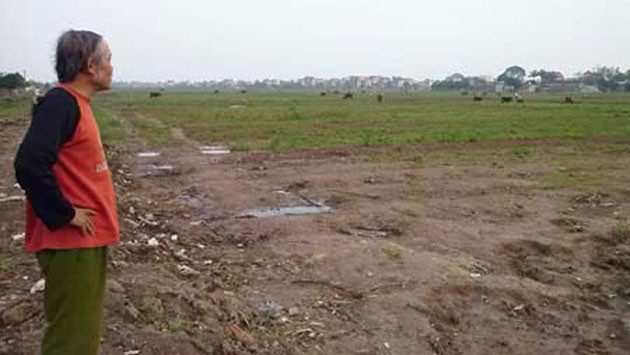 Dân bỏ ruộng và hệ lụy