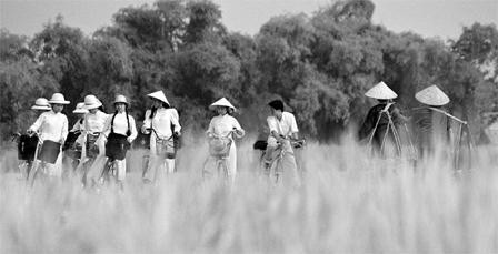 Con đường đi học.