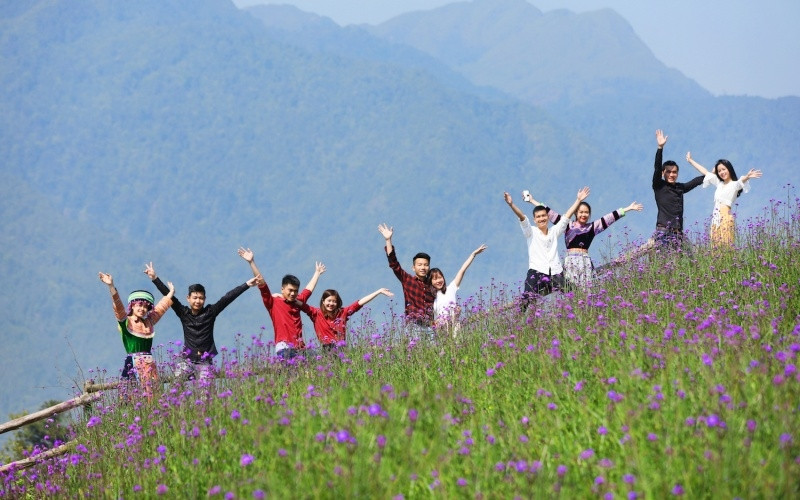 Chiêm ngưỡng hoa đỗ quyên trên đỉnh Hoàng Liên Sơn