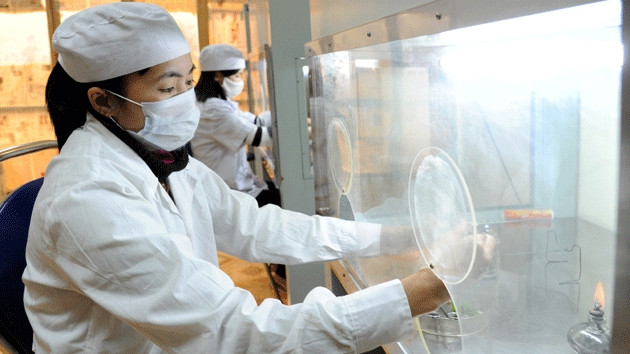 Ảnh minh họa: Trần Hải.