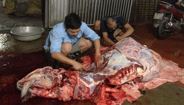 Mổ trâu ở làng nghề Phúc Lâm