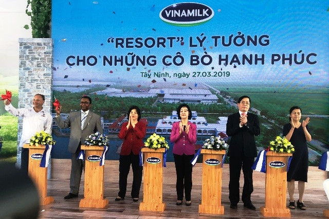 Khánh thành trang trại bò sữa lớn nhất Việt Nam