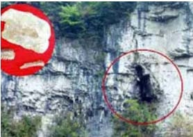 Khảo cổ Trung Quốc: Gấu trúc từng bị người tiền sử săn lấy thịt