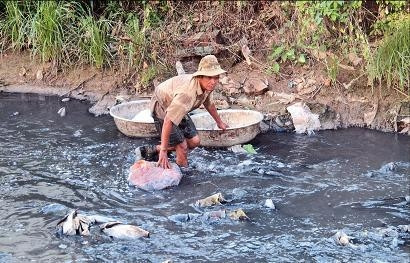 Ông Nguyễn Văn Hoàng trên nẻo đường mưu sinh.