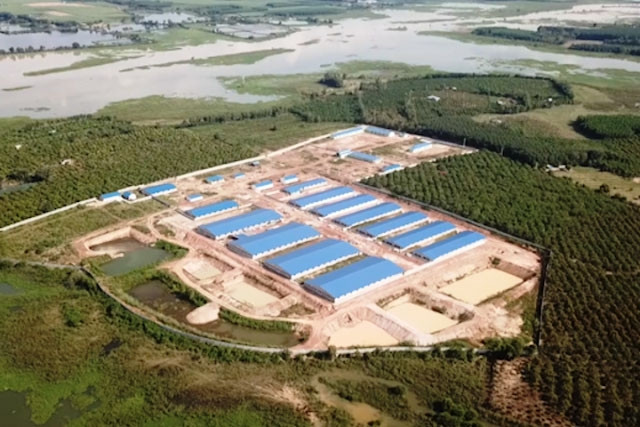 Trang trại nuôi lợn quy mô lớn được xây dựng trái phép sát hồ Trị An.