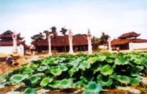 Triển lãm ảnh về đình làng Việt: Một chút tìm về tâm thức