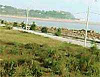 Các lãnh đạo thị xã Đồ Sơn chia nhau lô đất nhìn ra biển này. (Ảnh: Lao động)
