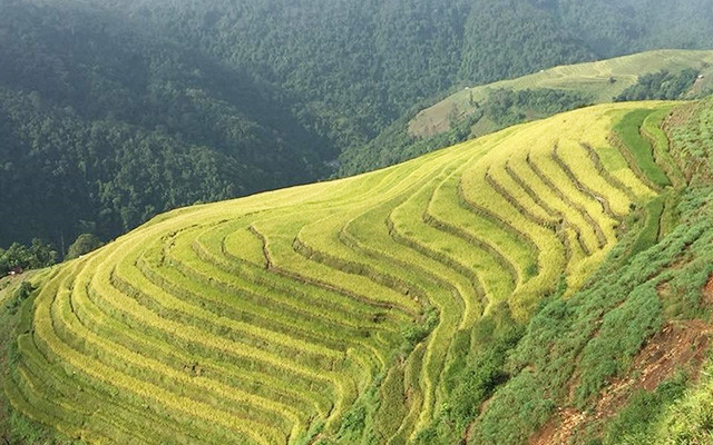 Ruộng bậc thang ở Thu Lũm (huyện Mường Tè, tỉnh Lai Châu).