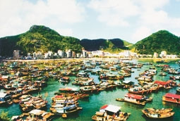 Vườn quốc gia Cát Bà