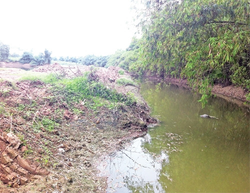 Sông Đáy, đoạn chảy qua địa bàn xã Dương Liễu, huyện Hoài Đức chưa được nạo vét.