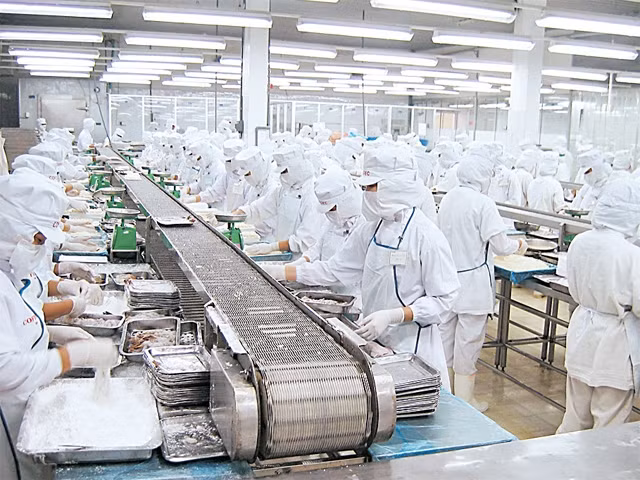 Dây chuyền sản xuất tôm lăn bột xuất khẩu, công suất 1.000 tấn/năm của Cofidec.