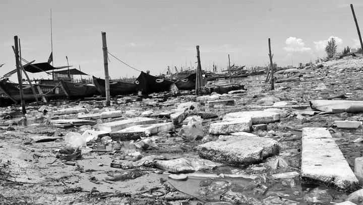 Âu thuyền và cảng cá Thọ Quang (huyện Sơn Trà, Đà Nẵng) ô nhiễm nặng.