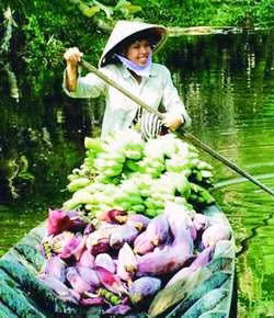 "Mùa hoa trái" trên thuyền.