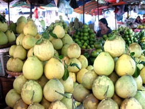 Bưởi Năm Roi, đặc sản của tỉnh Vĩnh Long.