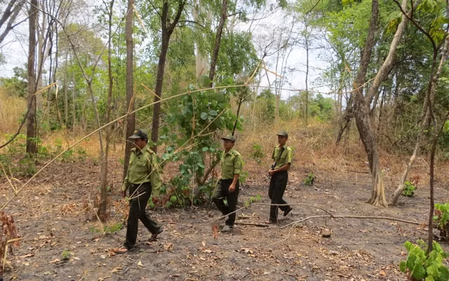 Cán bộ kiểm lâm VQG Yok Đôn tuần tra bảo vệ rừng và động vật hoang dã.
